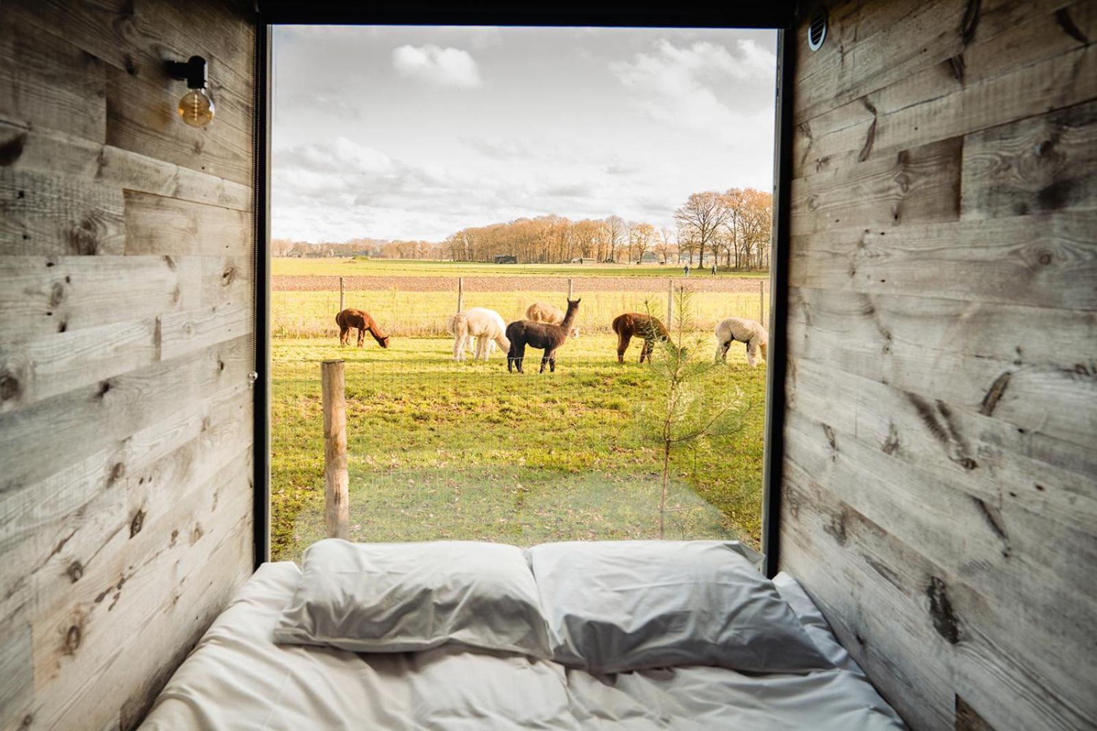 Bed and Breakfast In de Hei Mariahout Exterior foto